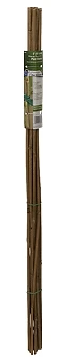 Gardener's Blue Ribbon BB3 Plant Stake, 3 ft L, 6 to 8 mm Dia, Bamboo, Natural