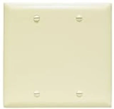 Tp23icc12 Trade Master Nylon Blank Wall Plate, Two Gang, Ivory