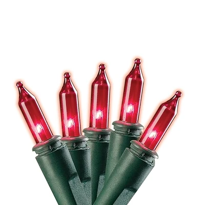 07522 Mini Led Light Set, 25-lamp For Festive Decorations