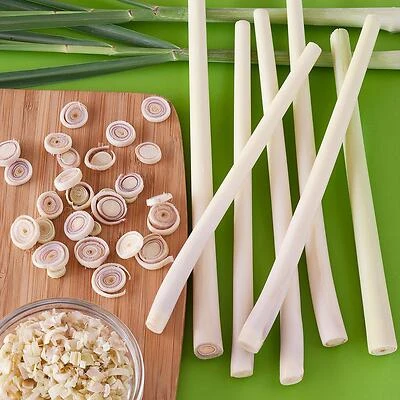 Bonnie Plants 5201 Lemon Grass Plant, 2.32 Quart