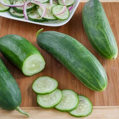Bonnie Plants 4200 Burpless Hybrid Cucumber Seeds