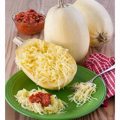 Bonnie Plants 4307 Spaghetti Squash Plant, 4.5 In., 19.3 Oz.