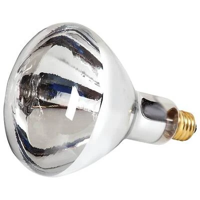 250-watt R40 Clear Heat Lamp Bulb For Heating And Lighting