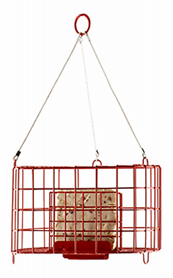 Suet Basket Bird Feeder, Pop-Out Cage