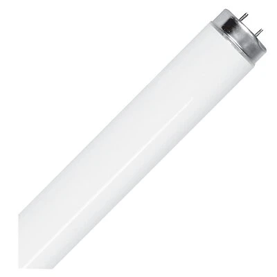 32w T8 Linear Fluorescent Light Tube - 4 Feet, 2600 Lumens, Daylight White