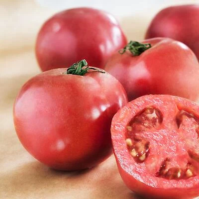606 Tomato Arkansas Traveler Heirloom Plant - Bonnie Plants Model 0222