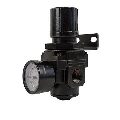 Forney Plastic Air Line Regulator 3/8 Inch Fnpt 250 Psi