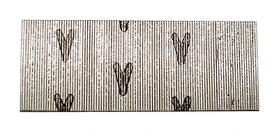 Collated Micro Pin Nails, Headless, 23 Gauge, 1 In., 2,600-Ct.