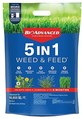 5-In-1 Lawn Fertilizer Weed & Feed, Covers 10,000 Sq. Ft.