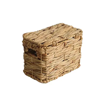 Water Hyacinth Trunk- Small
