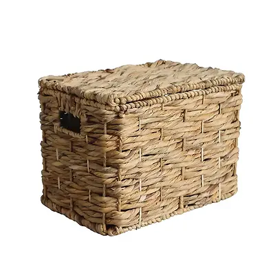 Water Hyacinth Trunk- Medium