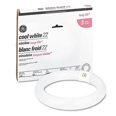 22W 8" CW Circ Fluo Bulb 33774