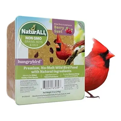 NaturAll Berry Suet Hungrybird