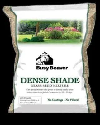 Busy Beaver Dense Shade Mix 3#