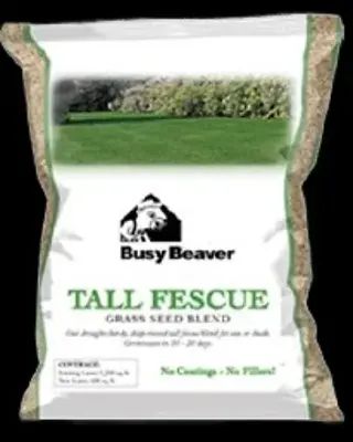 Busy Beaver Tall Fescue Blend 3#