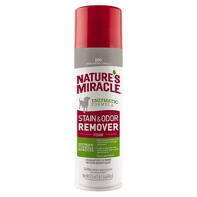 Dog Stain & Odor Remover, 17.5 oz.