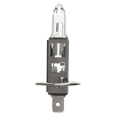Fog Lamp Replacement Bulb, BP1255/H1, 12V