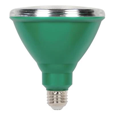 15PAR38/LED/FL/G Green Flood