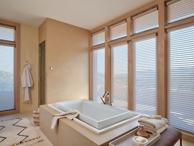 Silhouette Window Shadings