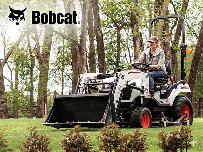 Bobcat