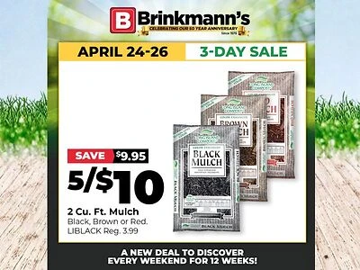 CLICK HERE TO ADD TO CART