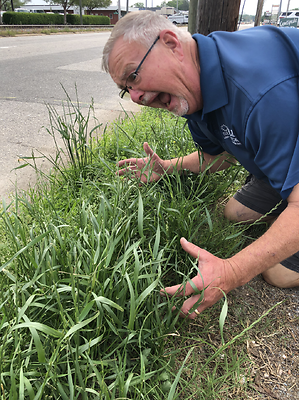 HELP !  I’VE GOT SOOOO MANY WEEDS !!