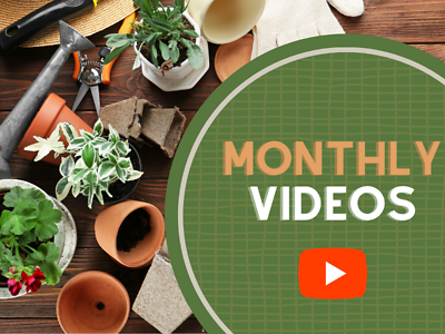 Madison's Monthly DIY Videos