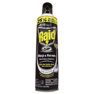 RAID Wasp & Hornet Spray – Rapid‑Acting Insect Killer for Home & Garden