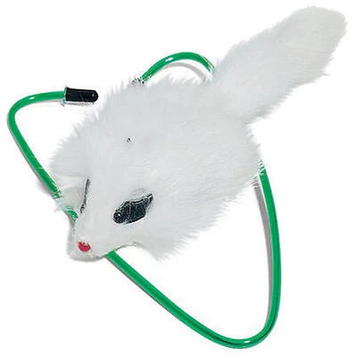 A-Door-Able Bouncing Mouse Cat Toy