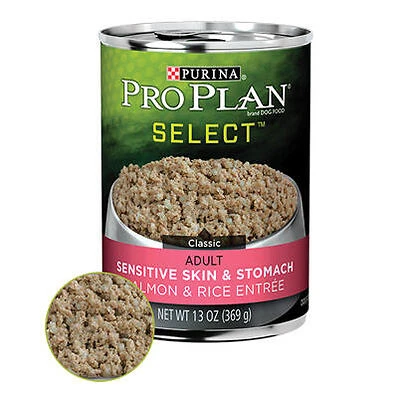 Dog Food, Sensitive Skin & Stomach Salmon & Rice, 13 oz.
