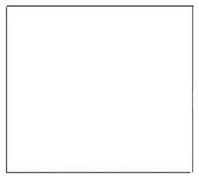 Shelf Liner, Non-Adhesive Grip, White Vinyl, 12-In. x 5-Ft.
