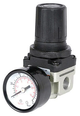 Mini Airline Regulator With Gauge, 1/4-In. FNPT
