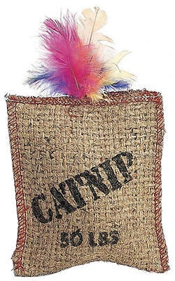 Jute & Feather Sack Cat Toy With Catnip