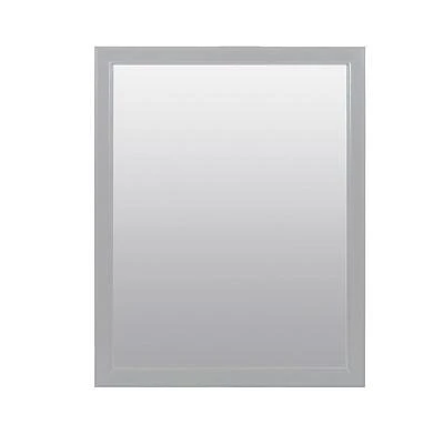 Zenna Home 25 In. H X 20 In. W Matte Gray Bathroom Mirror