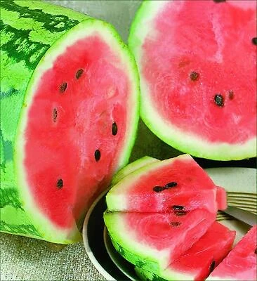 Watermelon Jubilee 19.3 oz Refreshing Fruit Drink