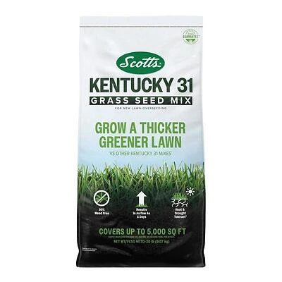 Scotts 18314 Kentucky 31 Premium Lawn Seed, Full-Sun Mix, 20 lb