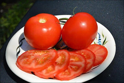 19.3‑oz Premium Canned Whole Tomatoes – Ideal for Sauces & Soups