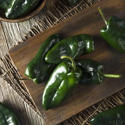 14.6 oz Fresh Poblano Pepper Pack – Mild Heat, Rich Flavor for Mexican Cooking
