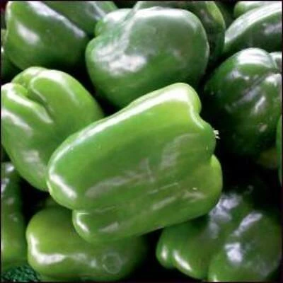 Bonnie Plants Green Pepper Sauce, 2.32-Quart Family Size