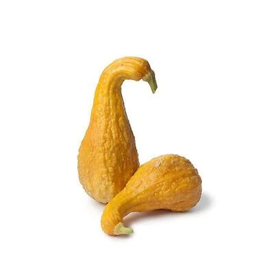 1.19‑Quart Crookneck Squash Pot – Compact Kitchen Essential