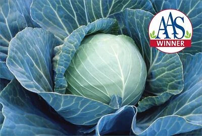 1.19‑Quart Stoneware Casserole Dish – Cabbage‑Stonehead Kitchenware