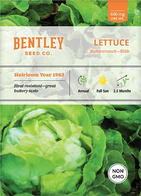 1.19 qt Fresh Buttercrunch Lettuce – Crisp Ready‑to‑Eat Greens