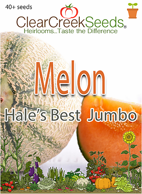 Bonnie Plants Hales Best Sweet Cantaloupe Fruit Cups, 19.3 oz