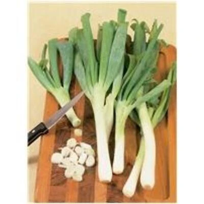 Bonnie Plants Leek Seeds, Bulk Pack, 19.3 oz