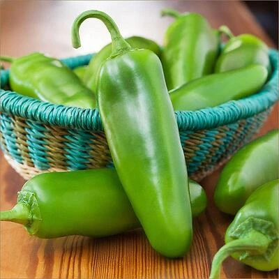 19.3 Oz Pepper‑Coolapeno (No