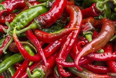 Bonnie Plants Premium 19.3-oz Cowhorn-Style Pepper Grinder