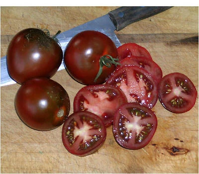 Bonnie Plants Tomato Black Prince, 19.3 Oz