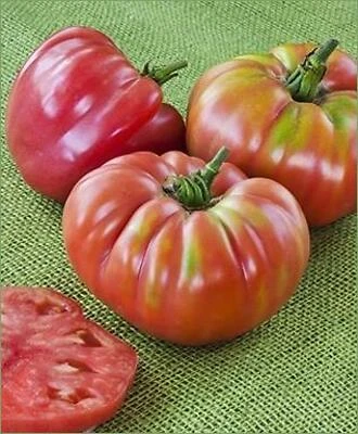 German Queen Whole Peeled Tomatoes – 19.3 oz Premium Canned