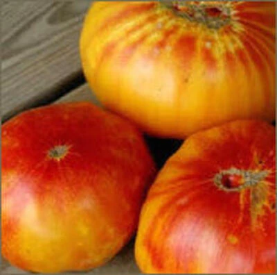 Bonnie Plants Mr. Stripey Tomato, 19.3 Oz Canned