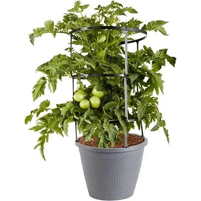 2.5‑Gallon Patio Tomato Planter – Space‑Saving Outdoor Grower